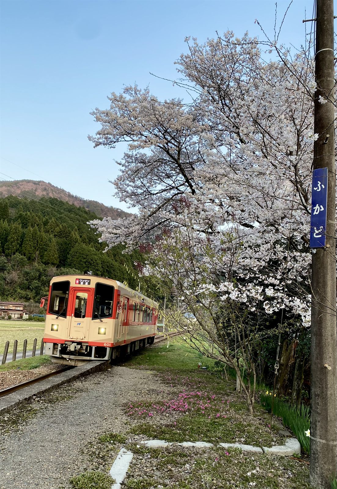 深戸城下陣屋 Jeenieの写真(岐阜県郡上市)